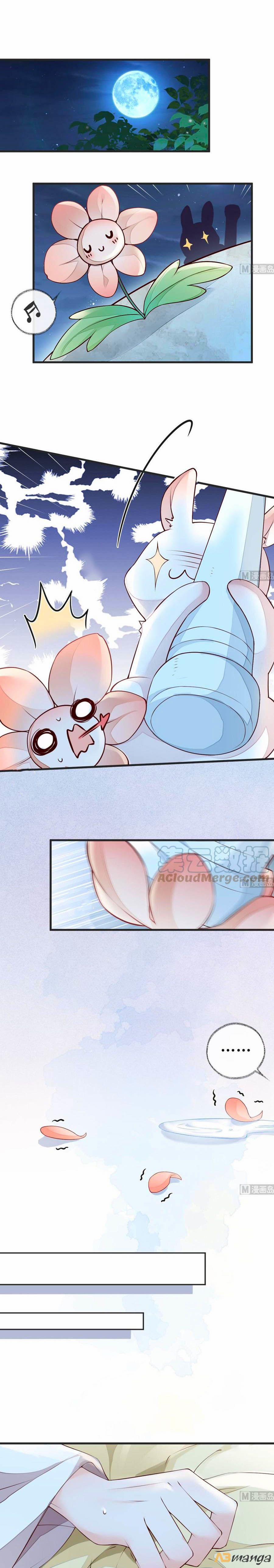 Thái Hậu Quân Hạ Thần 54 trang 0