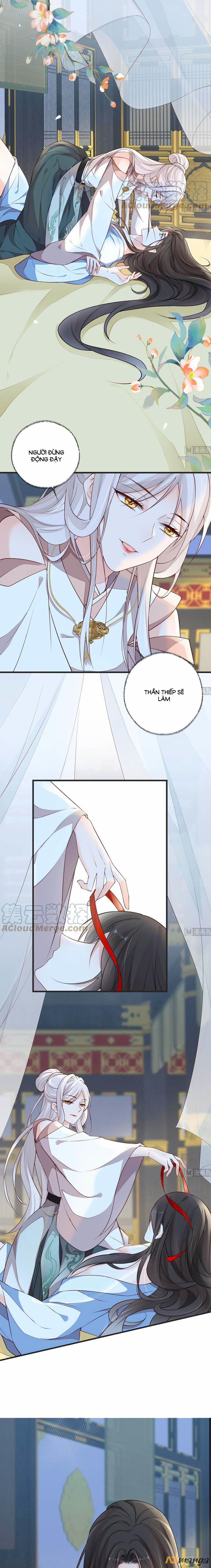 Thái Hậu Quân Hạ Thần 54 trang 3