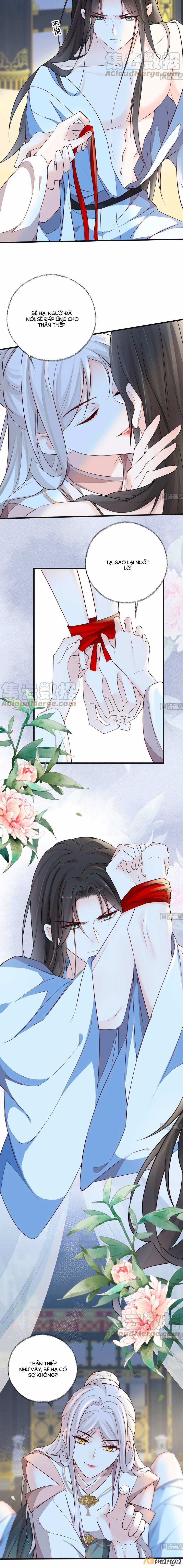 Thái Hậu Quân Hạ Thần 54 trang 4