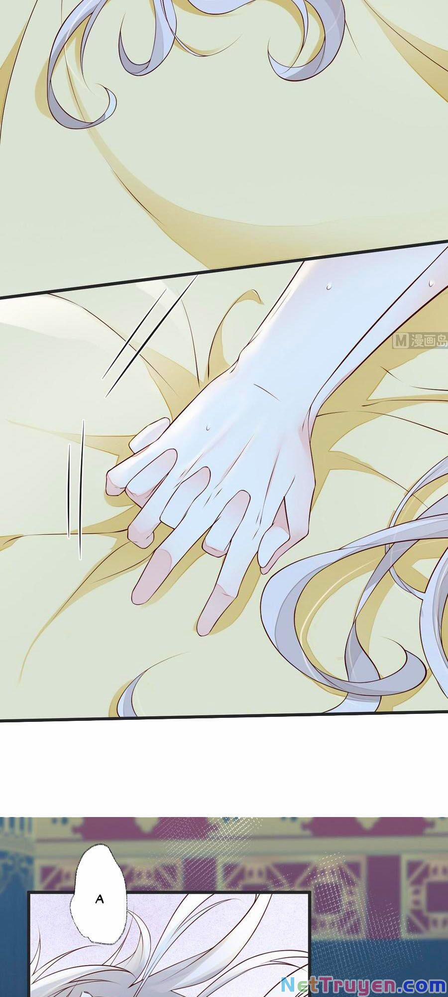 Thái Hậu Quân Hạ Thần 56 trang 2