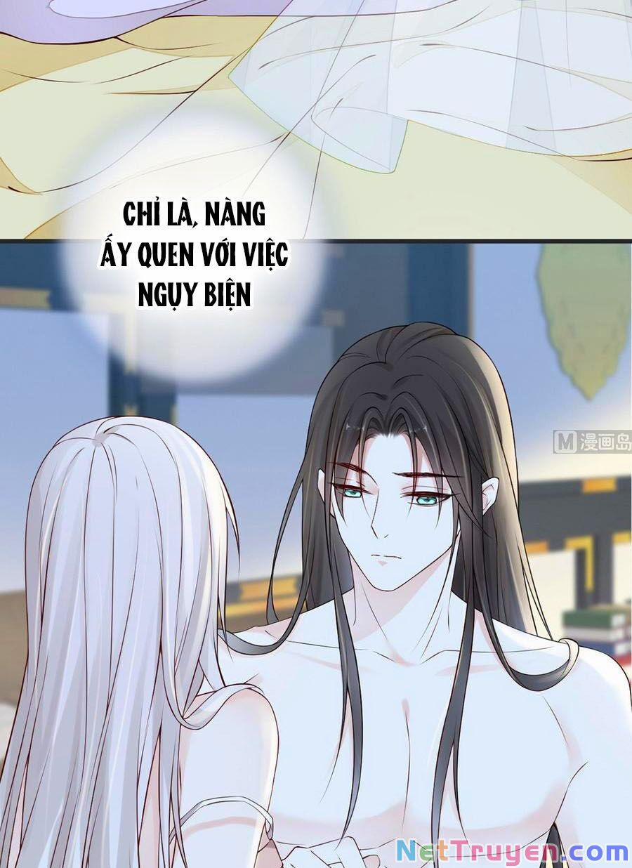 Thái Hậu Quân Hạ Thần 56 trang 20