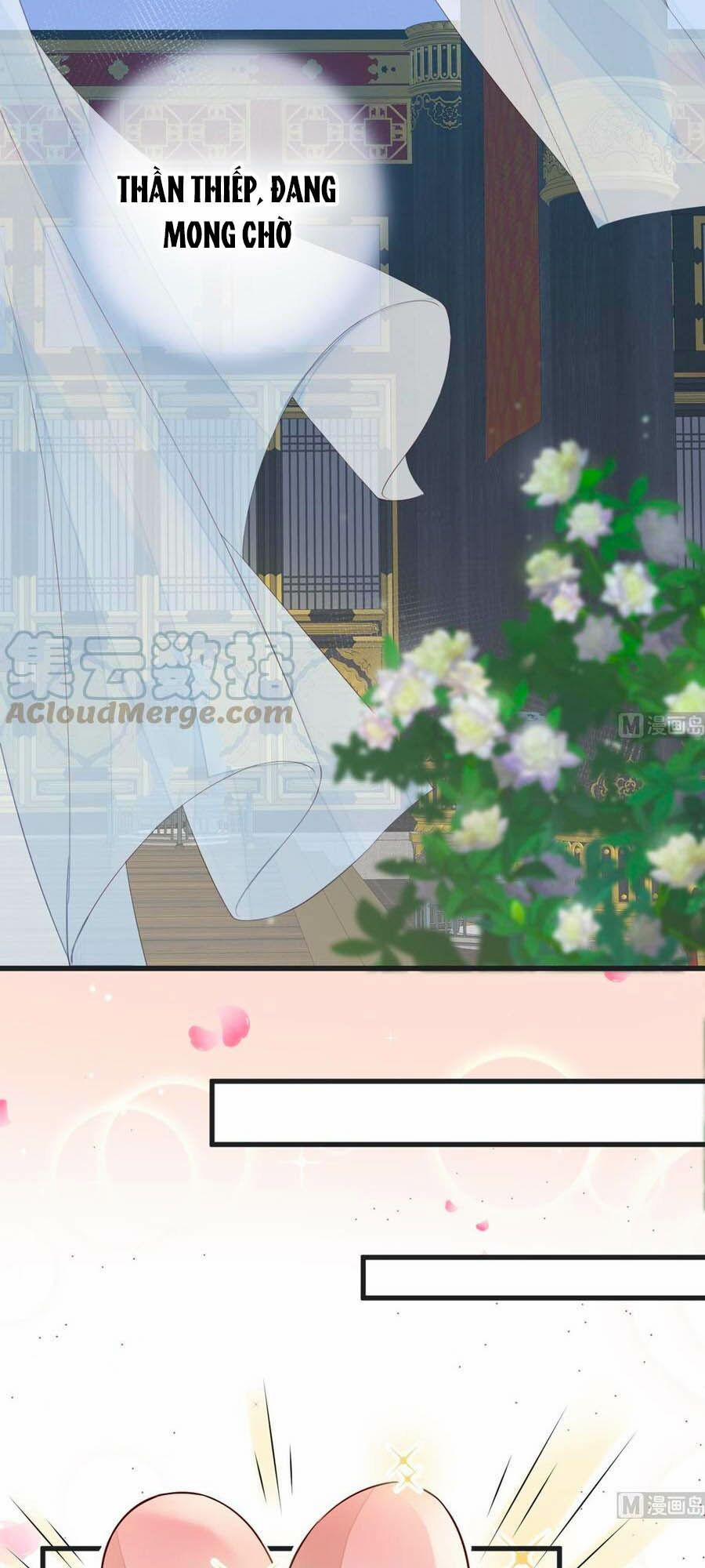 Thái Hậu Quân Hạ Thần 57 trang 12