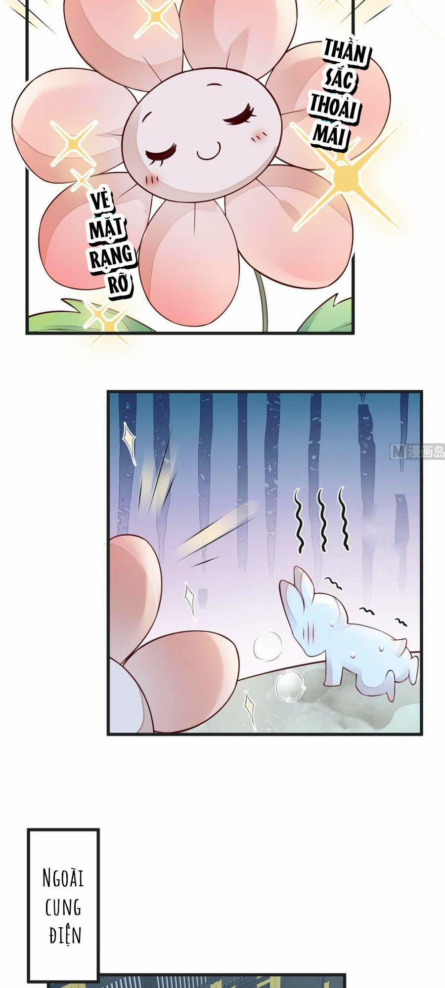 Thái Hậu Quân Hạ Thần 57 trang 13