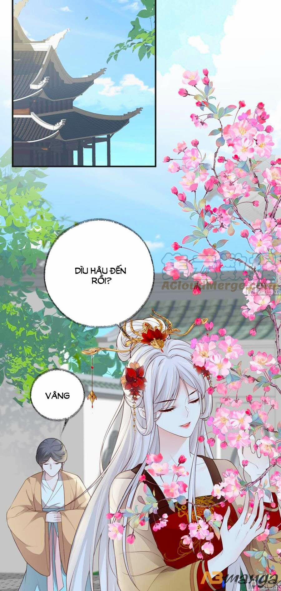 Thái Hậu Quân Hạ Thần 63 trang 13