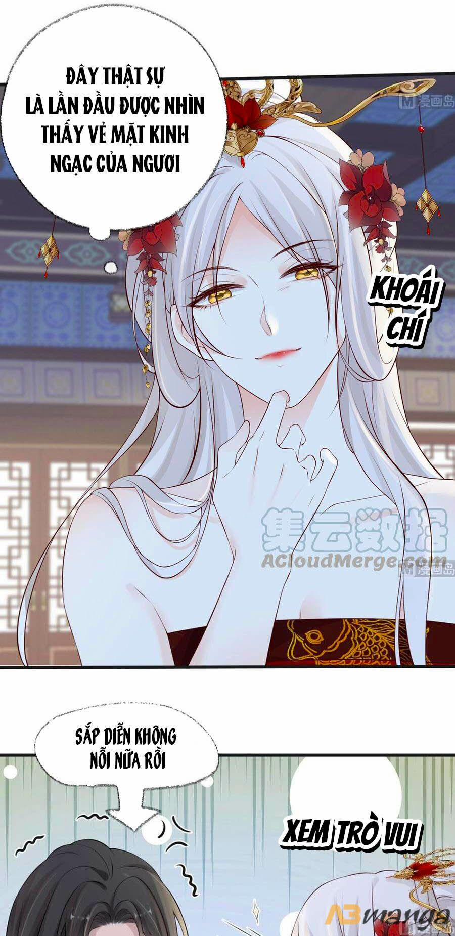 Thái Hậu Quân Hạ Thần 64 trang 19