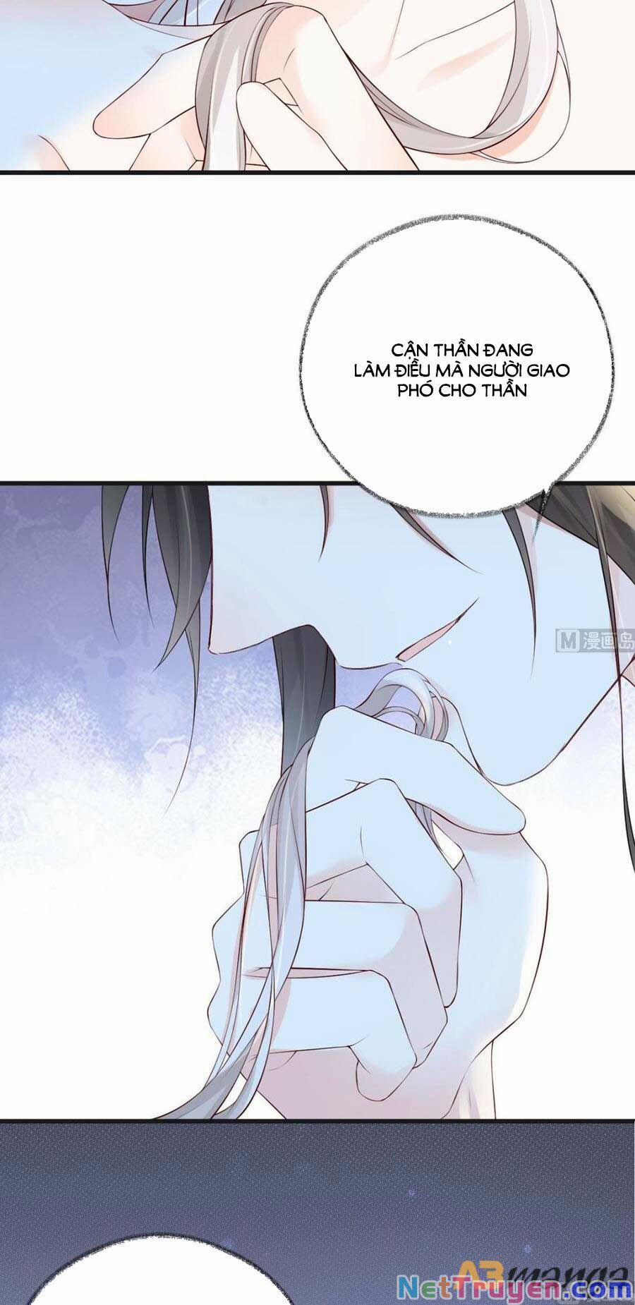 Thái Hậu Quân Hạ Thần 65 trang 11