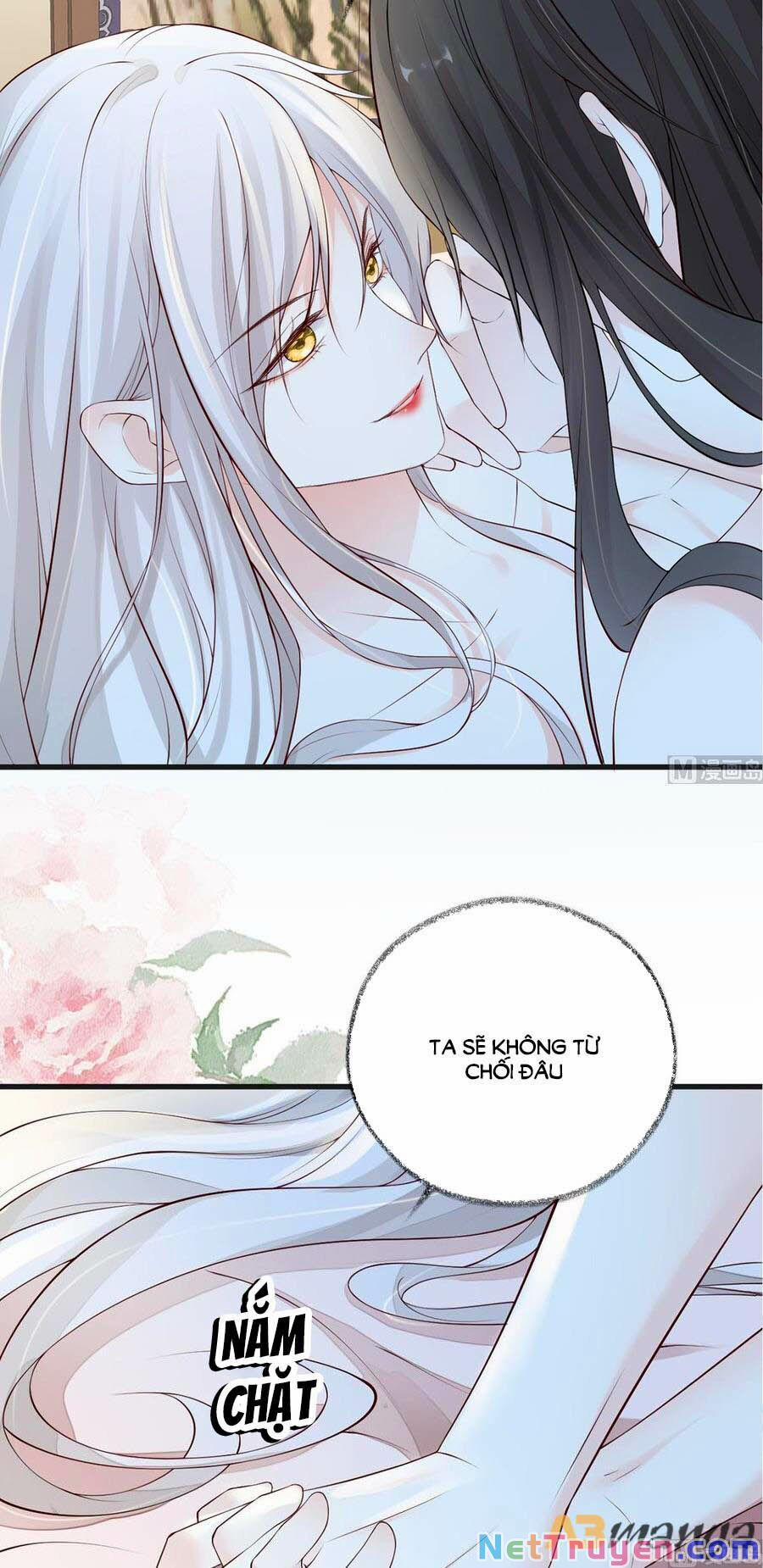 Thái Hậu Quân Hạ Thần 65 trang 14