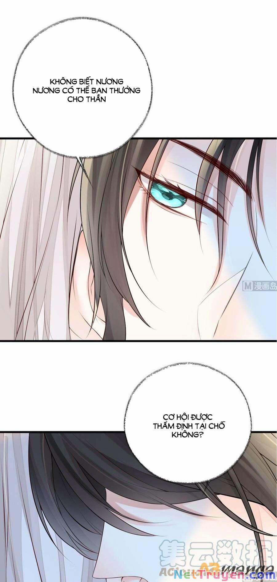 Thái Hậu Quân Hạ Thần 65 trang 16