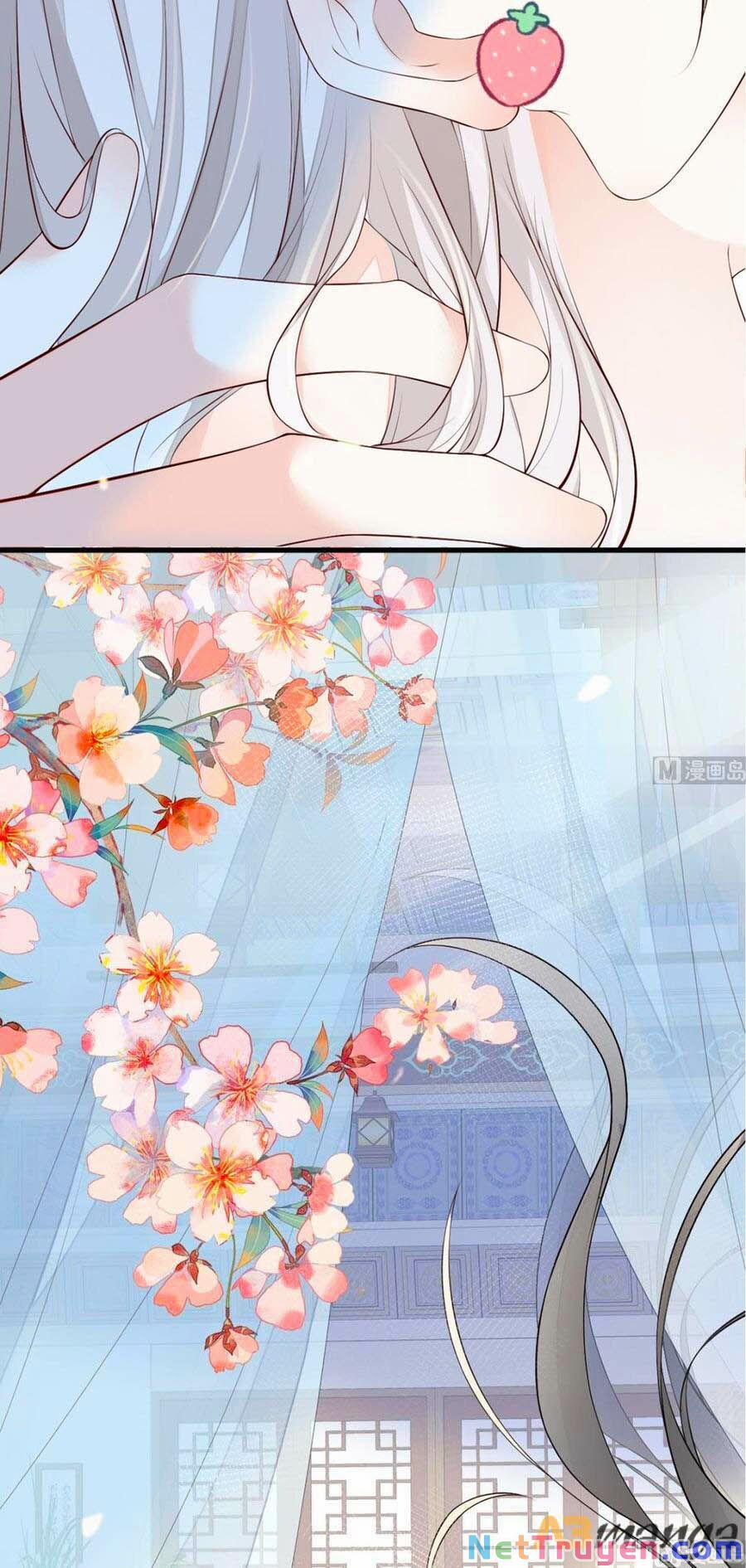 Thái Hậu Quân Hạ Thần 65 trang 17