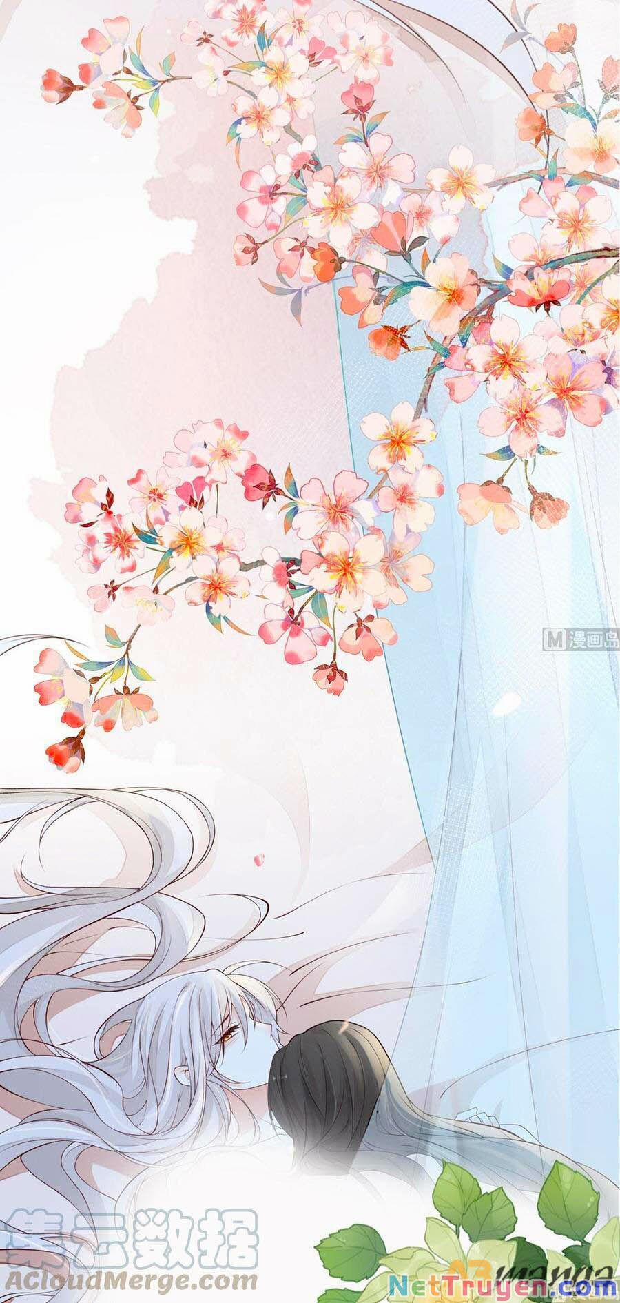 Thái Hậu Quân Hạ Thần 65 trang 19