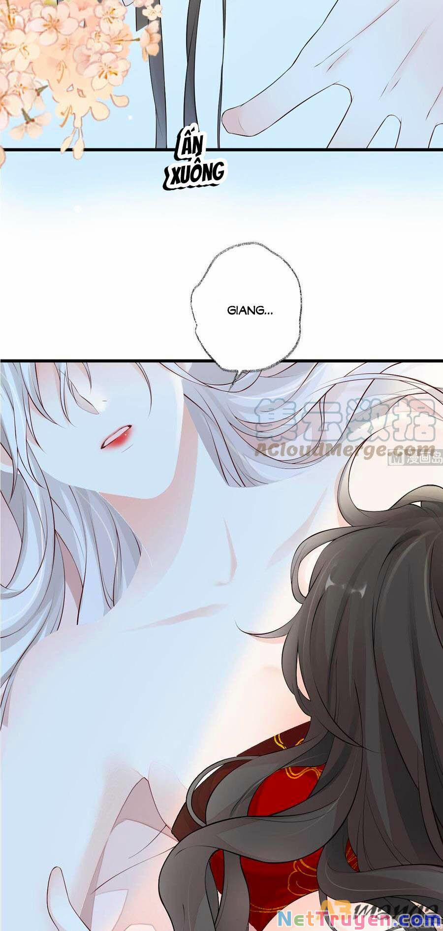 Thái Hậu Quân Hạ Thần 65 trang 21