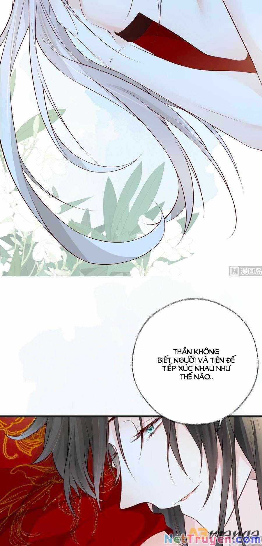 Thái Hậu Quân Hạ Thần 65 trang 23