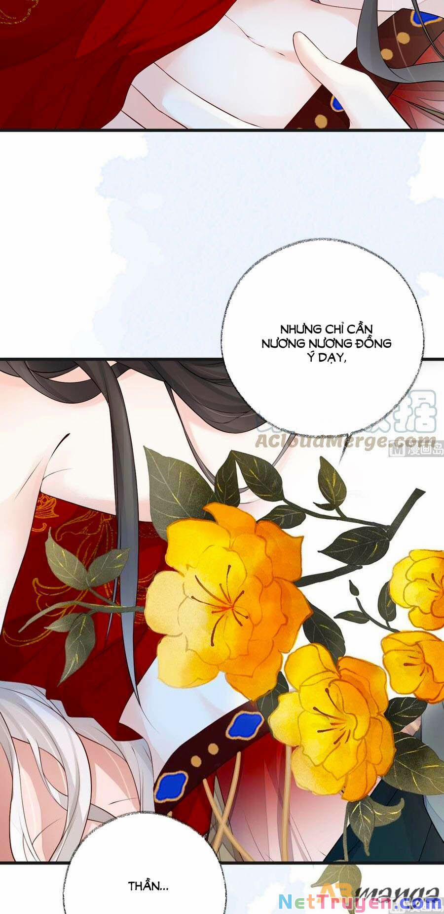 Thái Hậu Quân Hạ Thần 65 trang 24