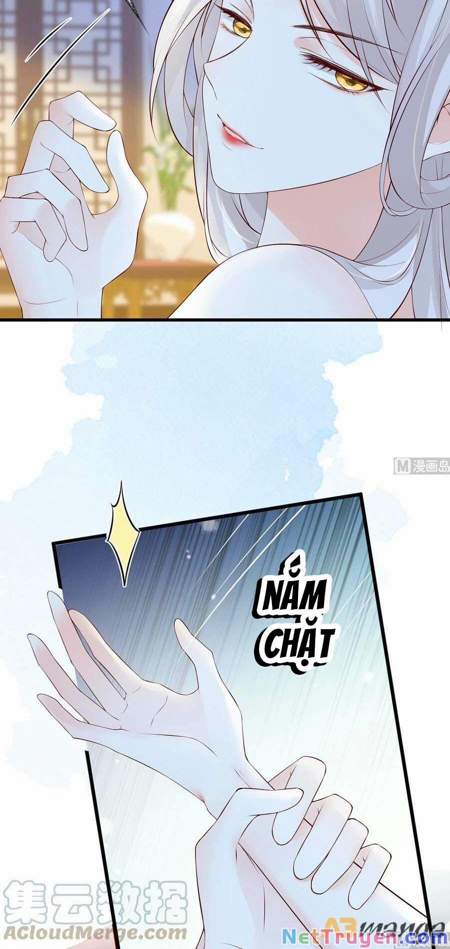 Thái Hậu Quân Hạ Thần 65 trang 4