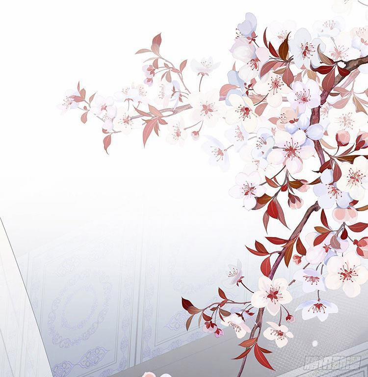 Thái Hậu Quân Hạ Thần 66.1 trang 0