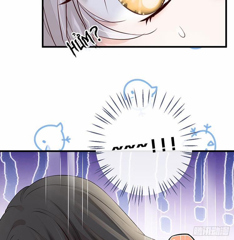 Thái Hậu Quân Hạ Thần 66.1 trang 14