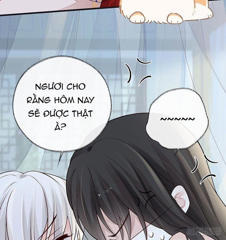 Thái Hậu Quân Hạ Thần 66.1 trang 32