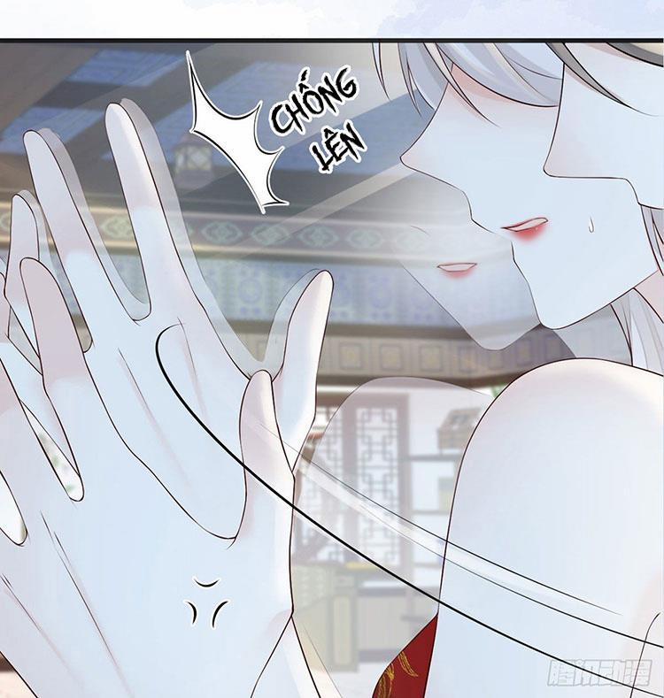 Thái Hậu Quân Hạ Thần 66.2 trang 11