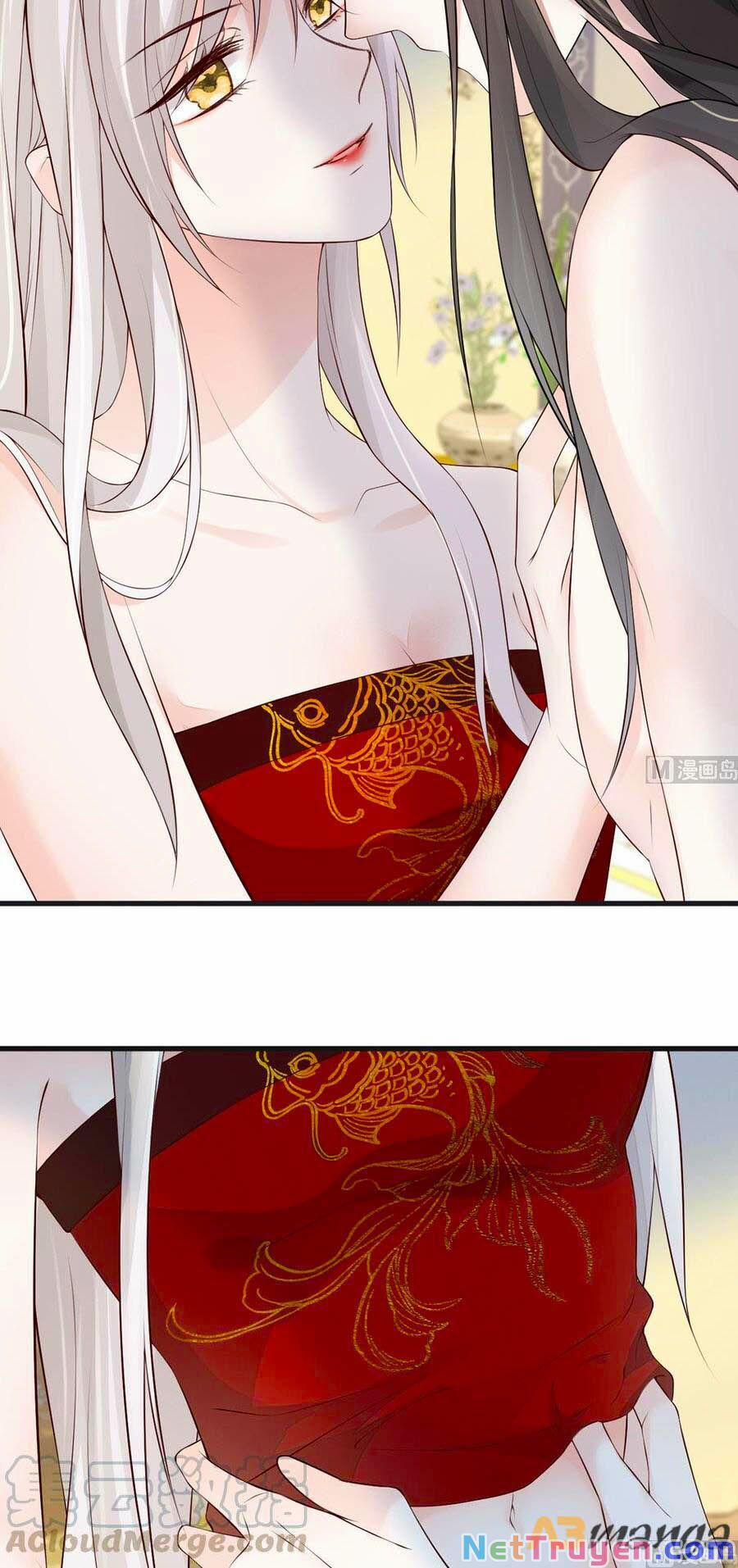 Thái Hậu Quân Hạ Thần 66 trang 11