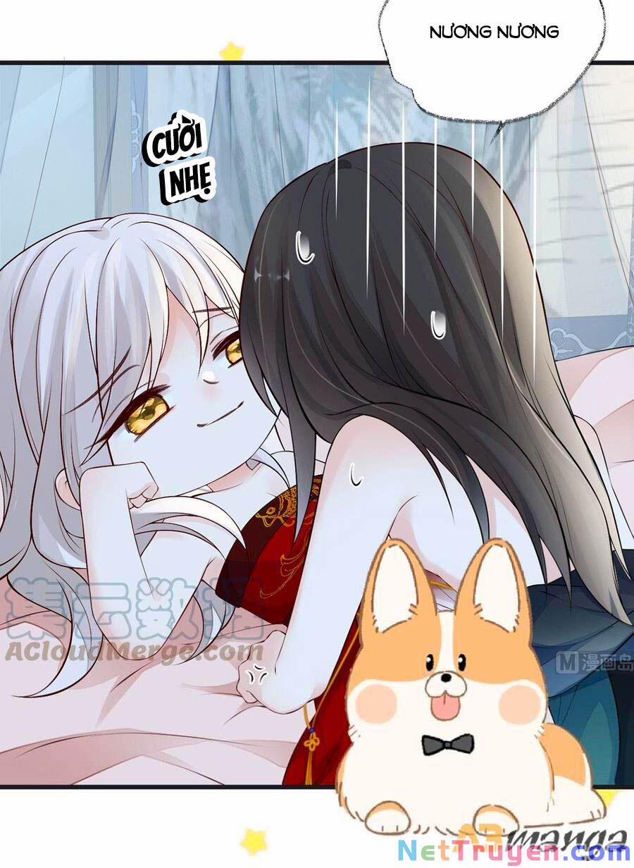 Thái Hậu Quân Hạ Thần 66 trang 13