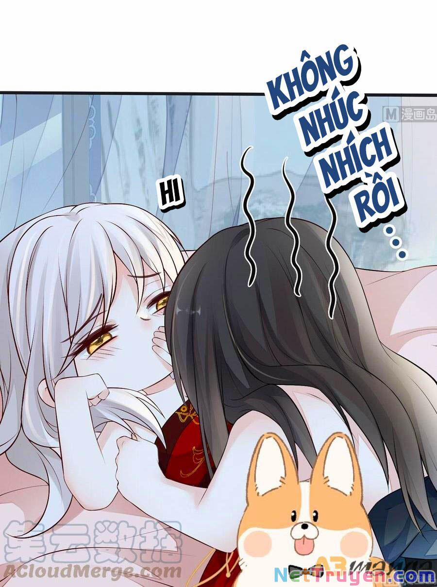 Thái Hậu Quân Hạ Thần 66 trang 15