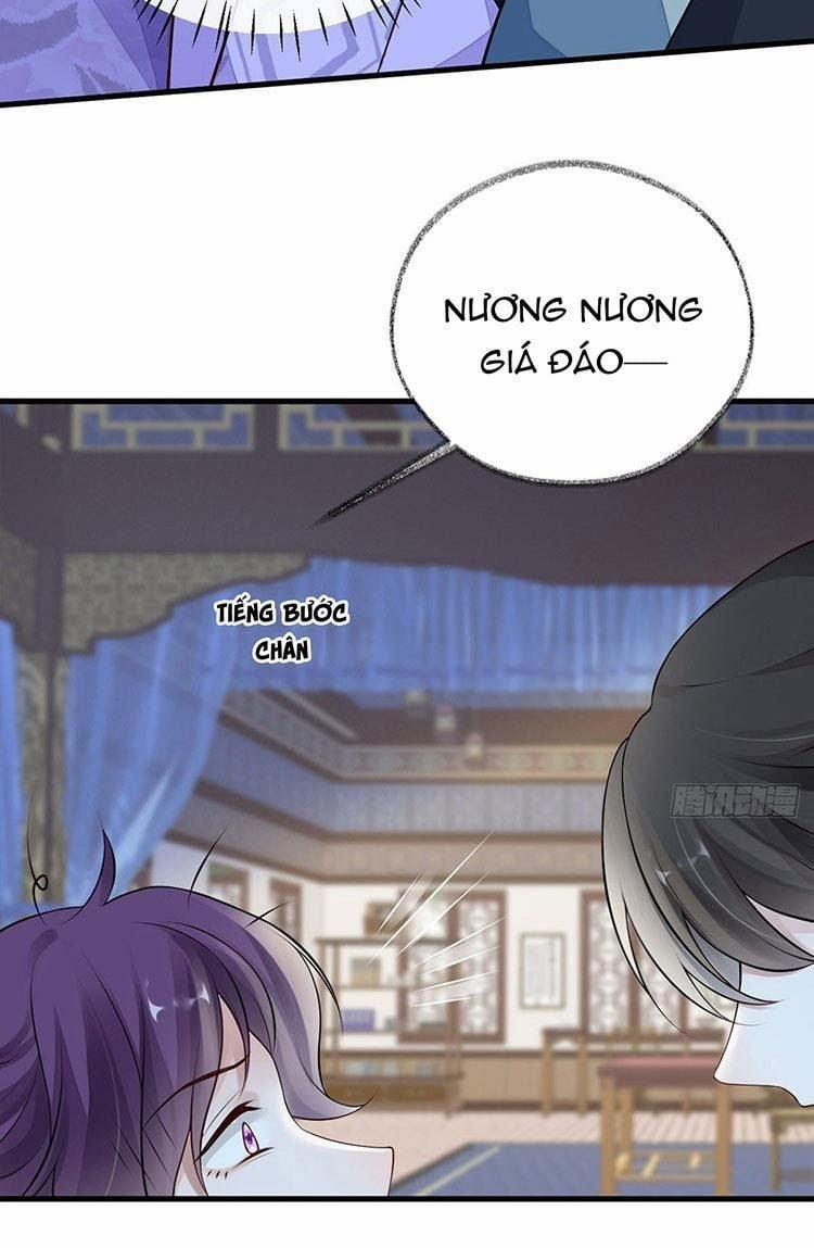 Thái Hậu Quân Hạ Thần 71 trang 16