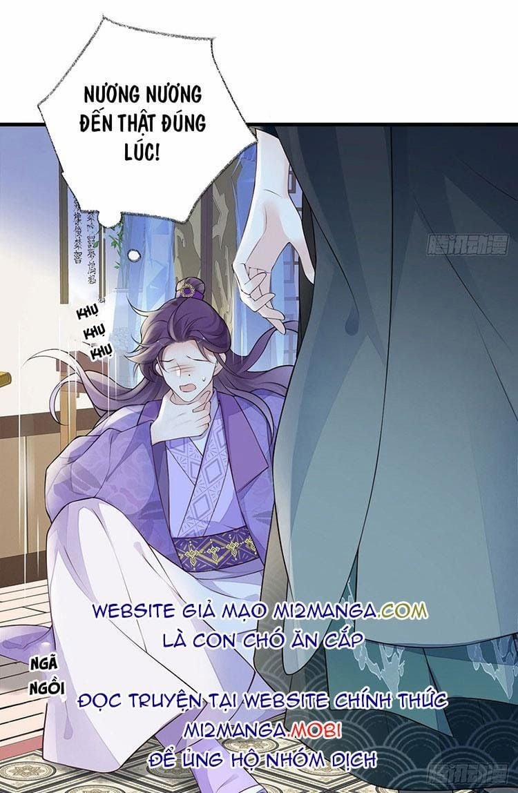 Thái Hậu Quân Hạ Thần 71 trang 17