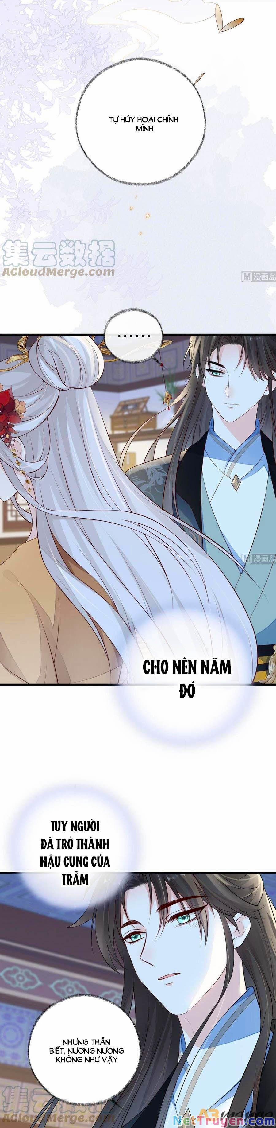 Thái Hậu Quân Hạ Thần 73 trang 3