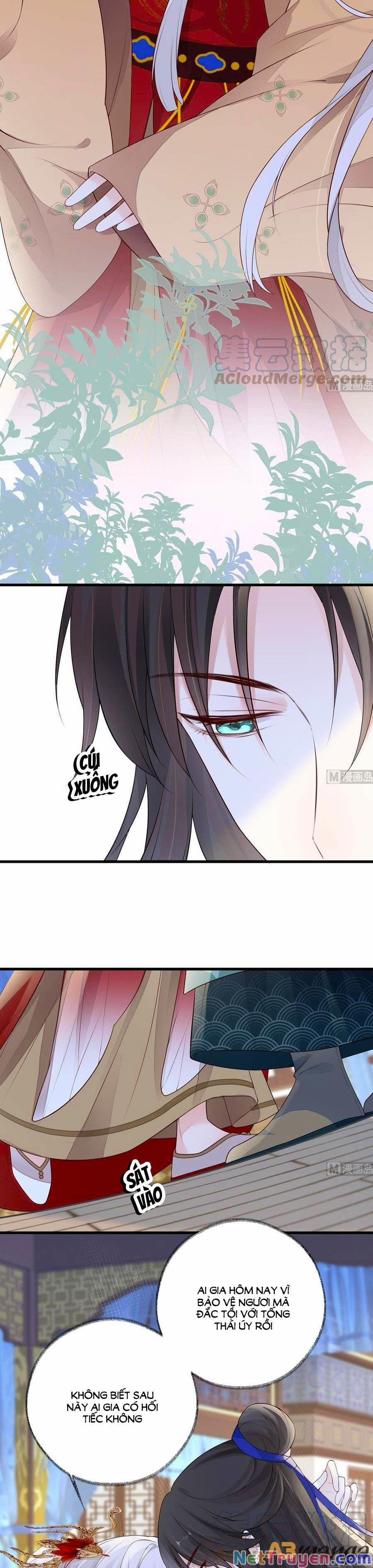 Thái Hậu Quân Hạ Thần 73 trang 6