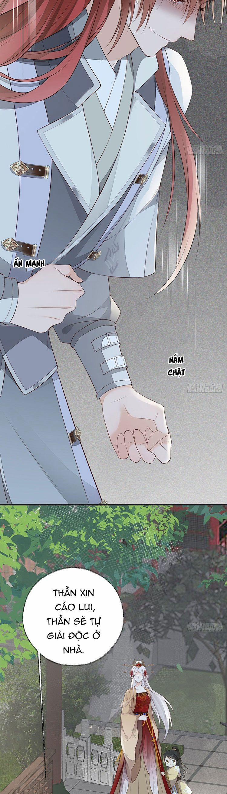 Thái Hậu Quân Hạ Thần 76 trang 13