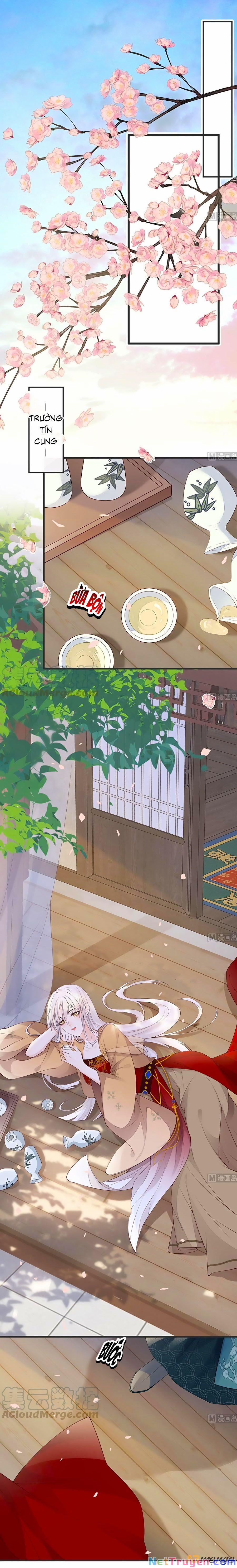 Thái Hậu Quân Hạ Thần 77 trang 6