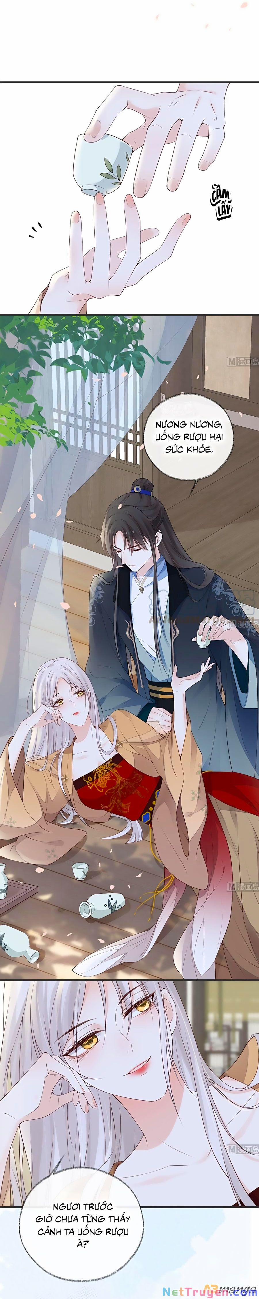 Thái Hậu Quân Hạ Thần 77 trang 7