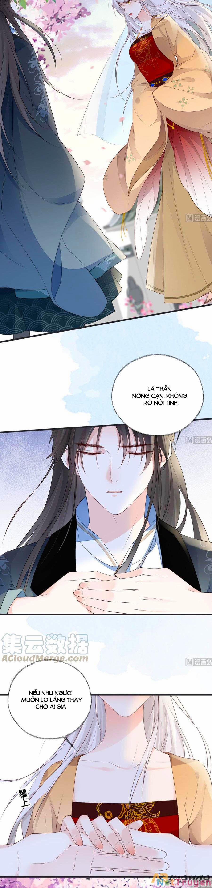 Thái Hậu Quân Hạ Thần 78 trang 13