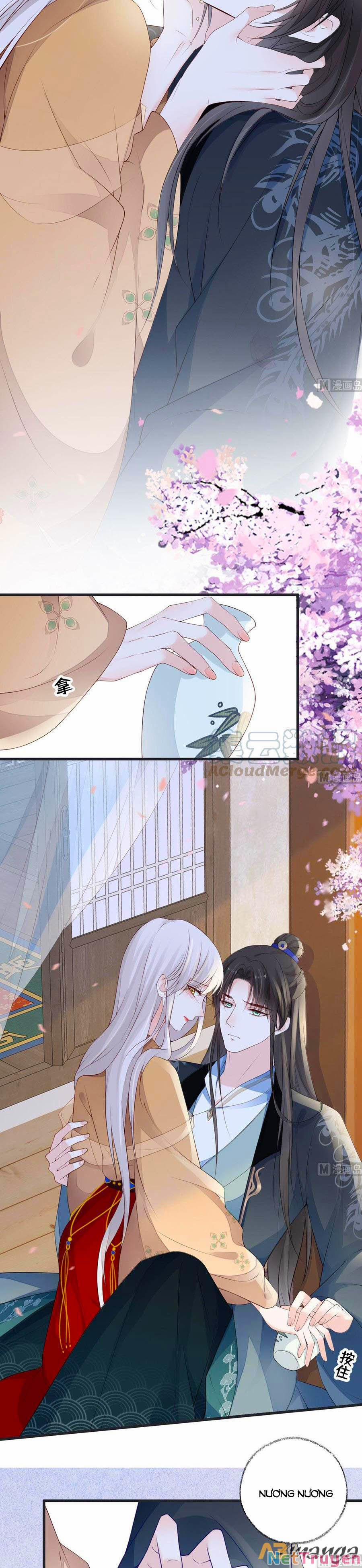 Thái Hậu Quân Hạ Thần 78 trang 2