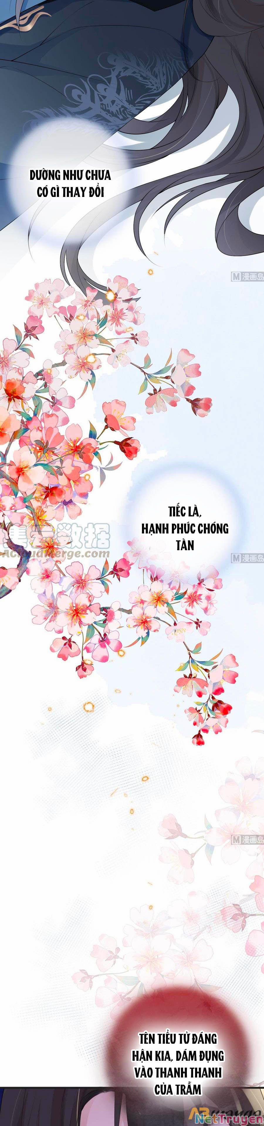 Thái Hậu Quân Hạ Thần 79 trang 14