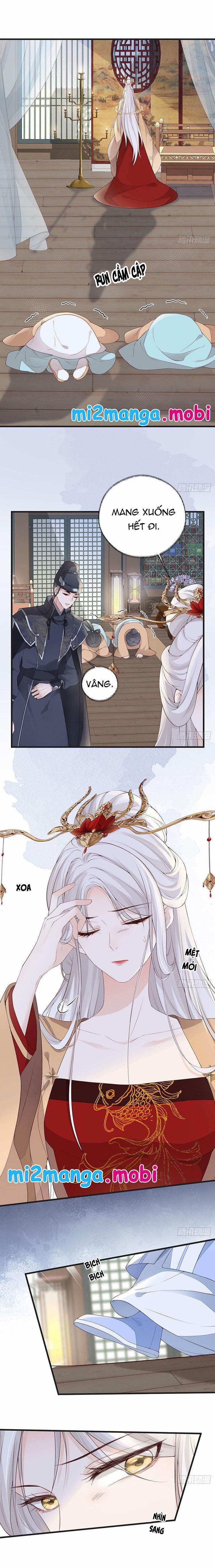 Thái Hậu Quân Hạ Thần 81 trang 2