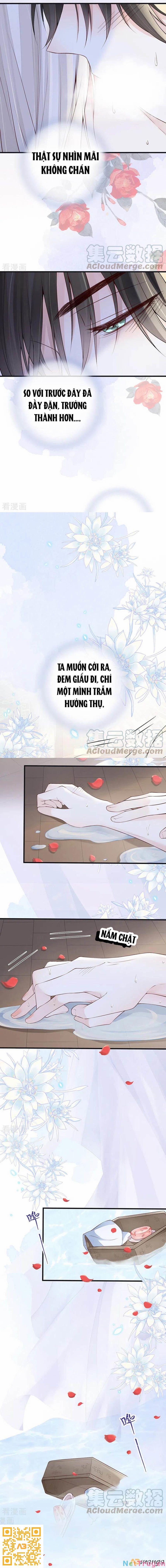 Thái Hậu Quân Hạ Thần 87 trang 2