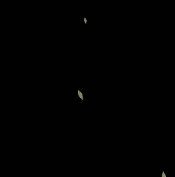 Thái Tử Myolyeong 102.1 trang 33