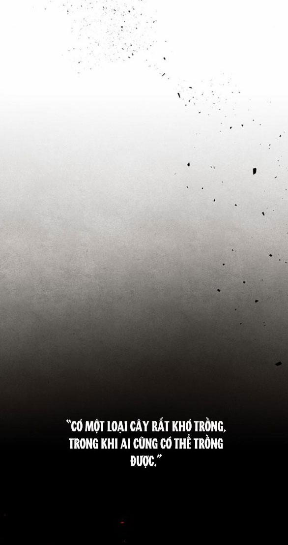 Thái Tử Myolyeong 99.1 trang 29