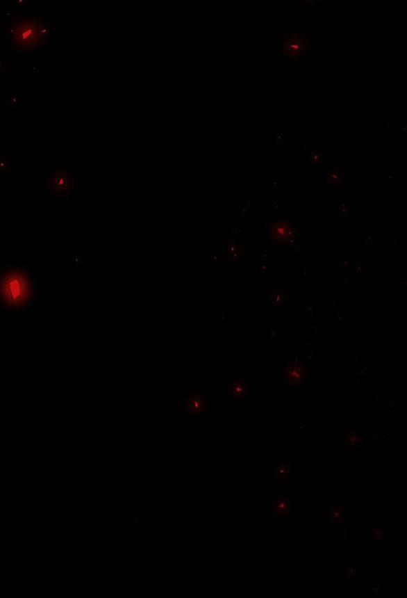 Thái Tử Myolyeong 99.1 trang 31