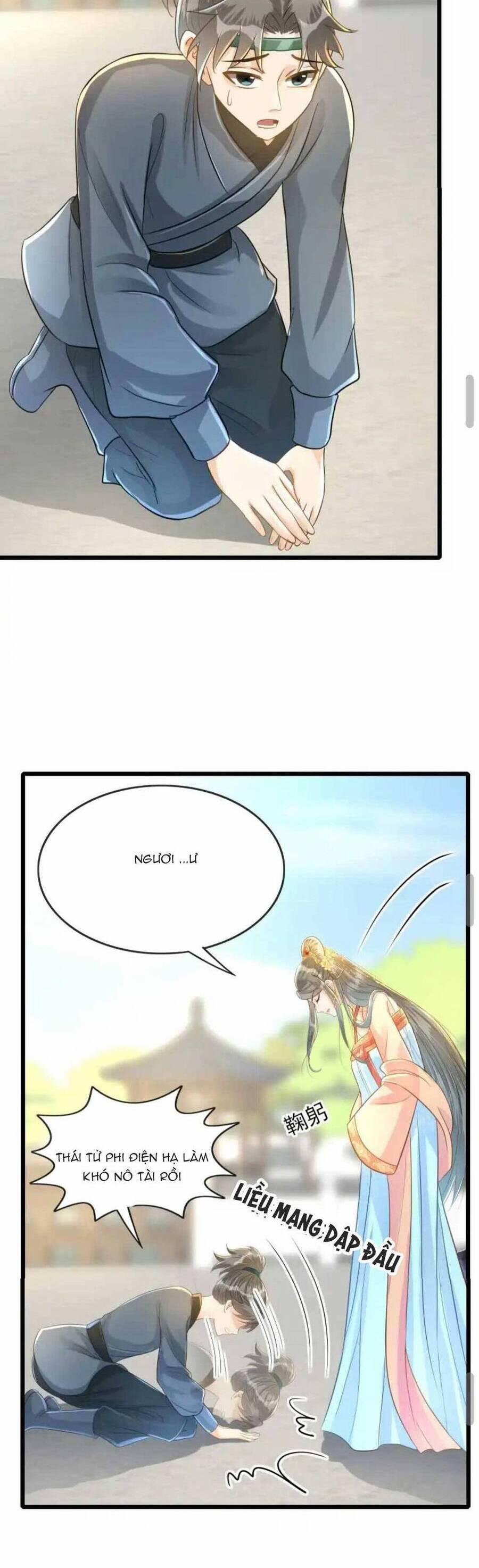 Thái Tử Phi Thế Thân 8 trang 21