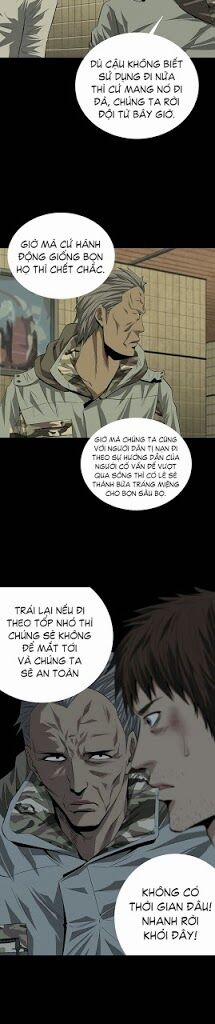 Thảm Họa Ong Độc 11 trang 23