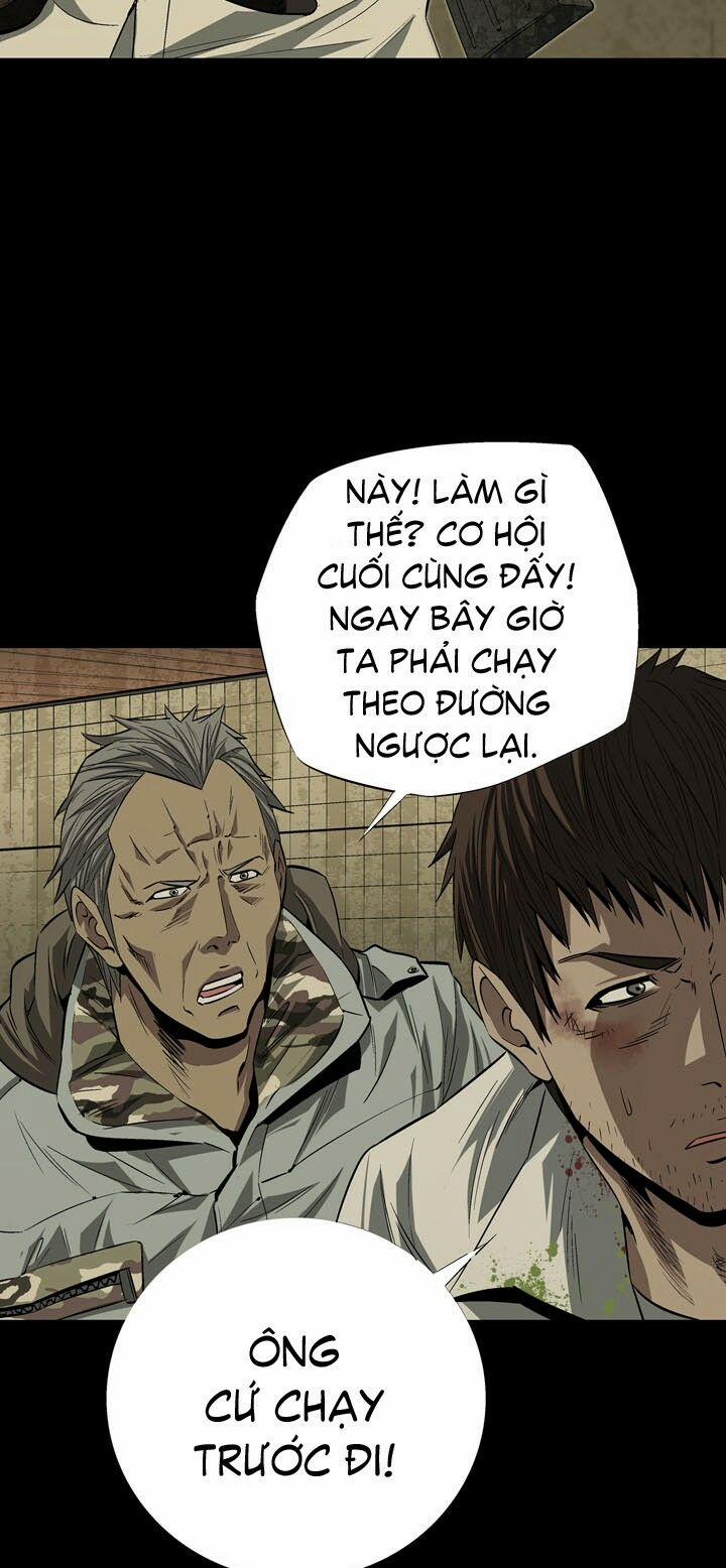 Thảm Họa Ong Độc 12 trang 16