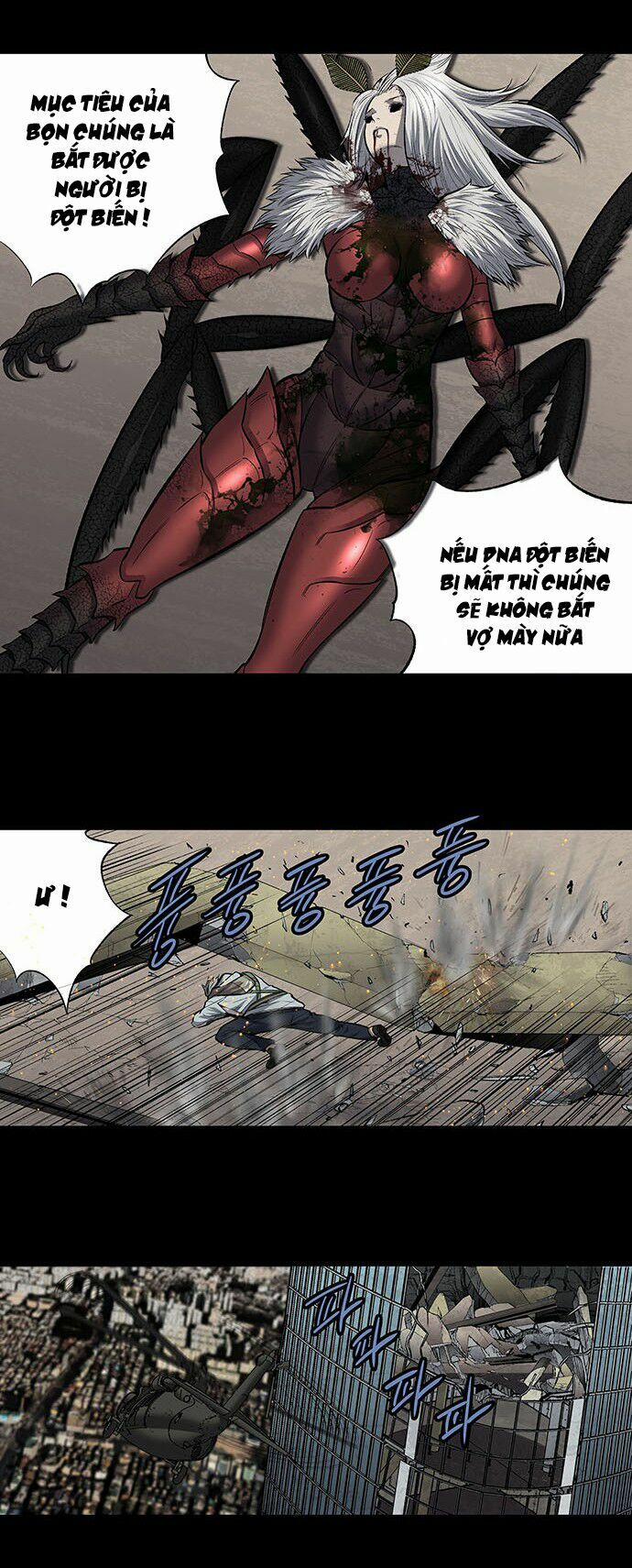 Thảm Họa Ong Độc 183 trang 35