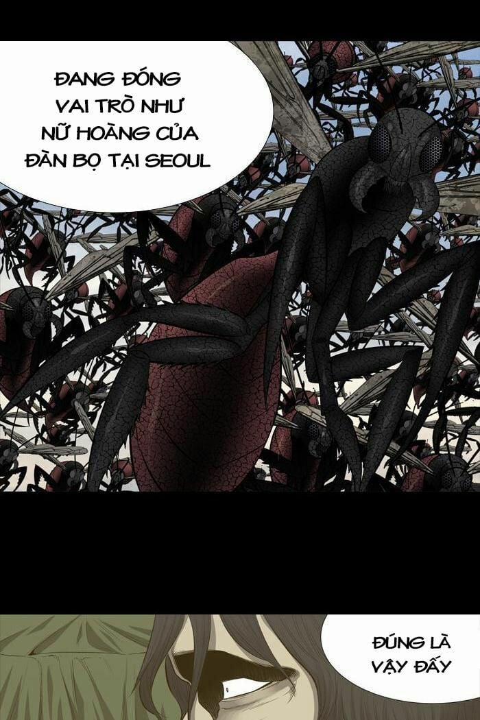 Thảm Họa Ong Độc 192 trang 32