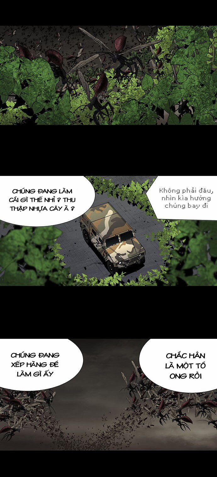 Thảm Họa Ong Độc 193 trang 21