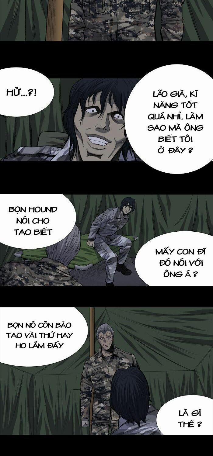 Thảm Họa Ong Độc 197 trang 19