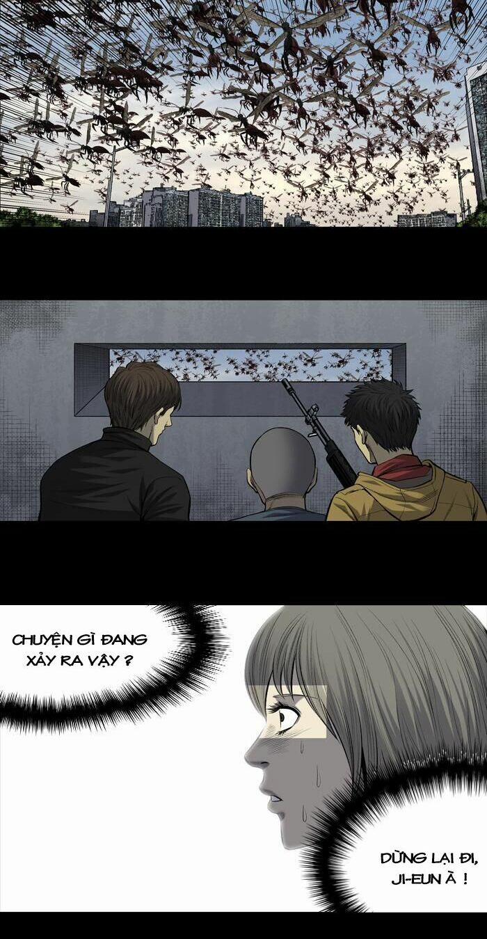 Thảm Họa Ong Độc 199 trang 5