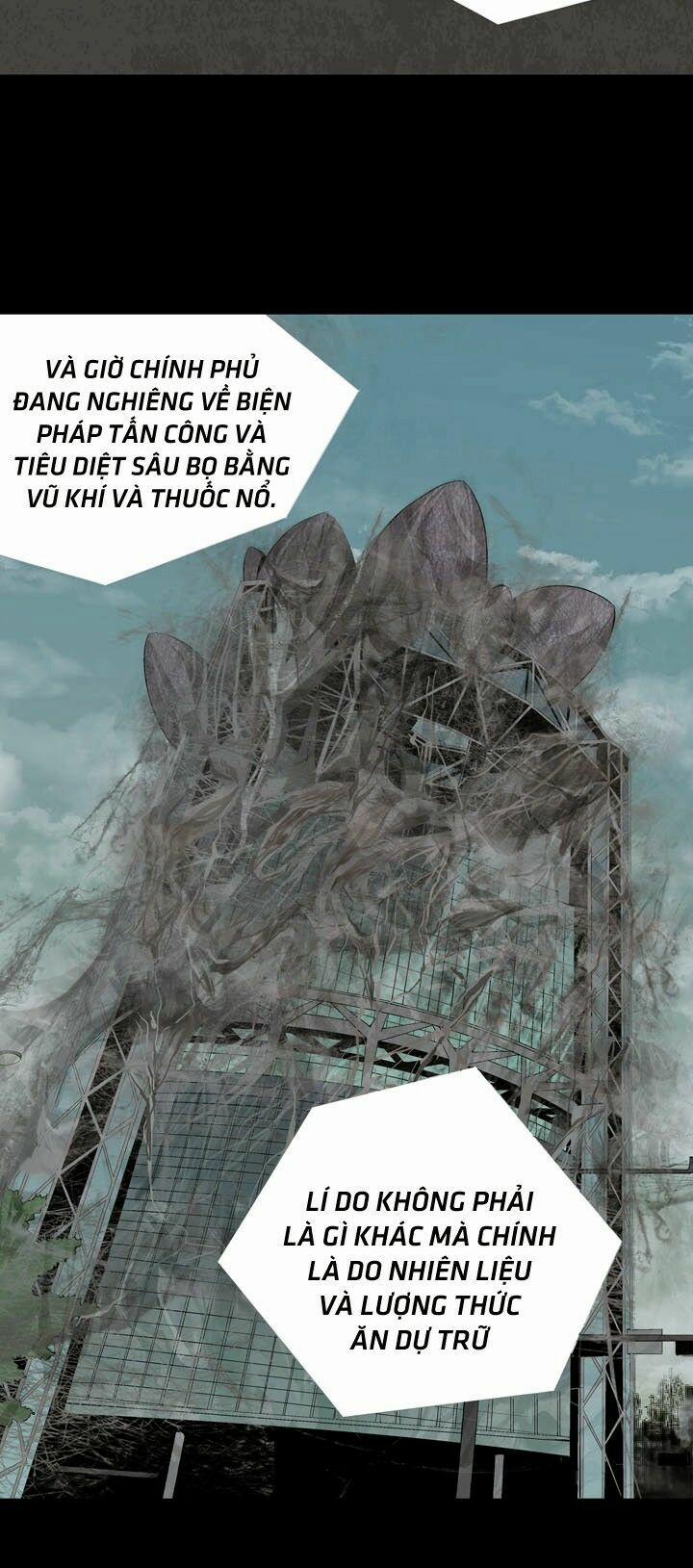 Thảm Họa Ong Độc 20 trang 23