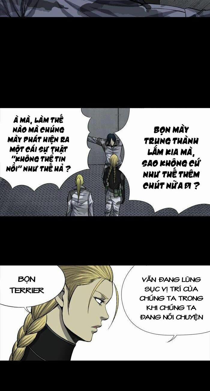 Thảm Họa Ong Độc 203 trang 24